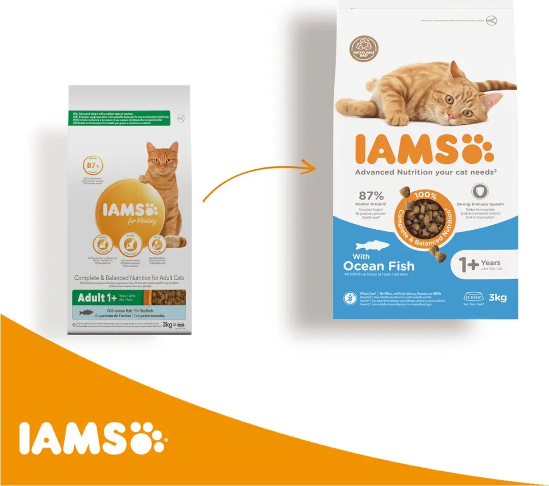Iams Cat Adult Fish & Chicken Kattenvoer 3kg
