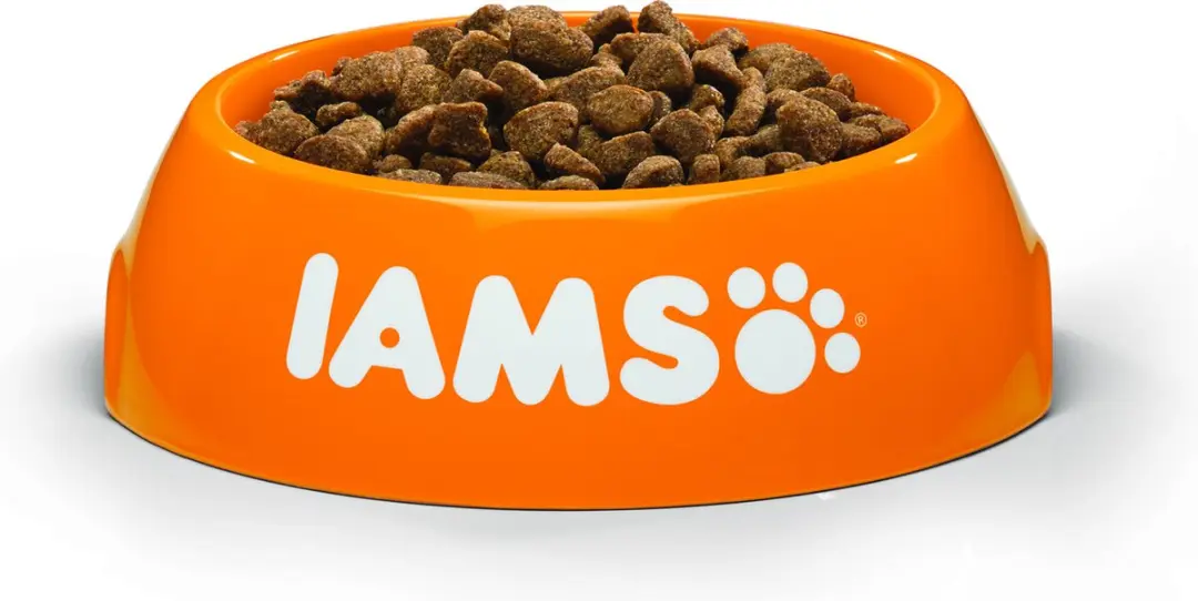 Iams Cat Adult Kip Kattenvoer 3kg