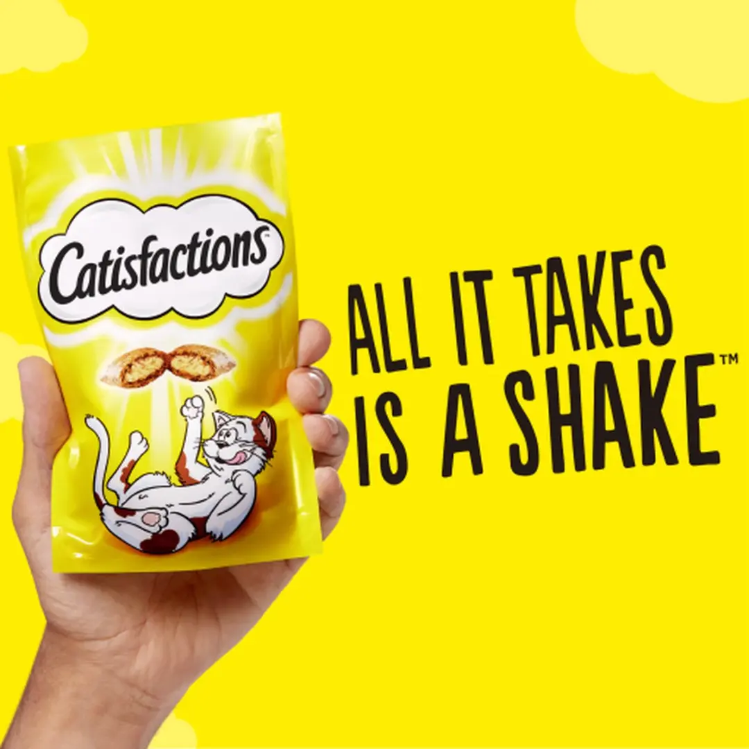 Catisfactions Kattensnoepjes Kaas - 60g