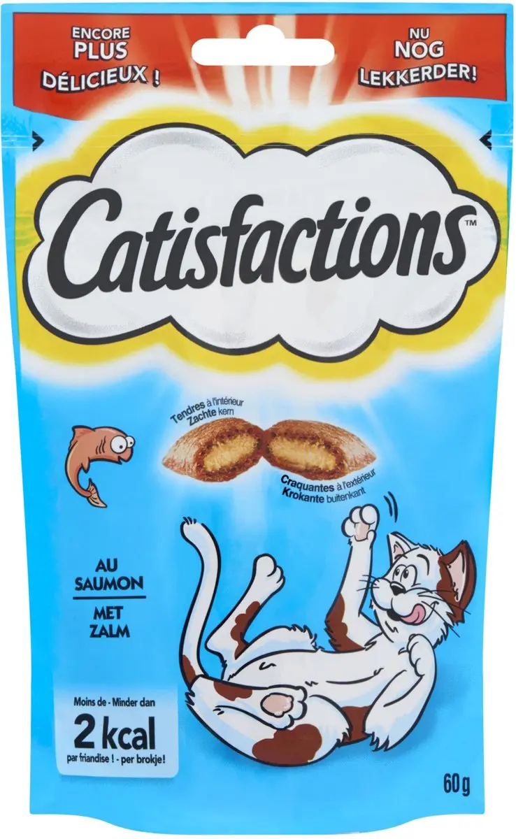 Catisfactions Zalm 60g - 6 Stuks