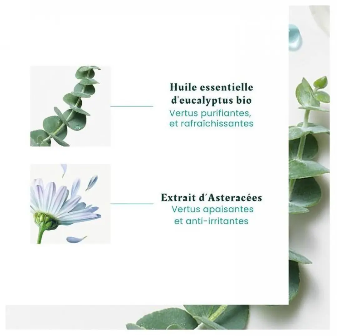 Rene Furterer Head Spa Astera Kalmerend Concentraat 50ml
