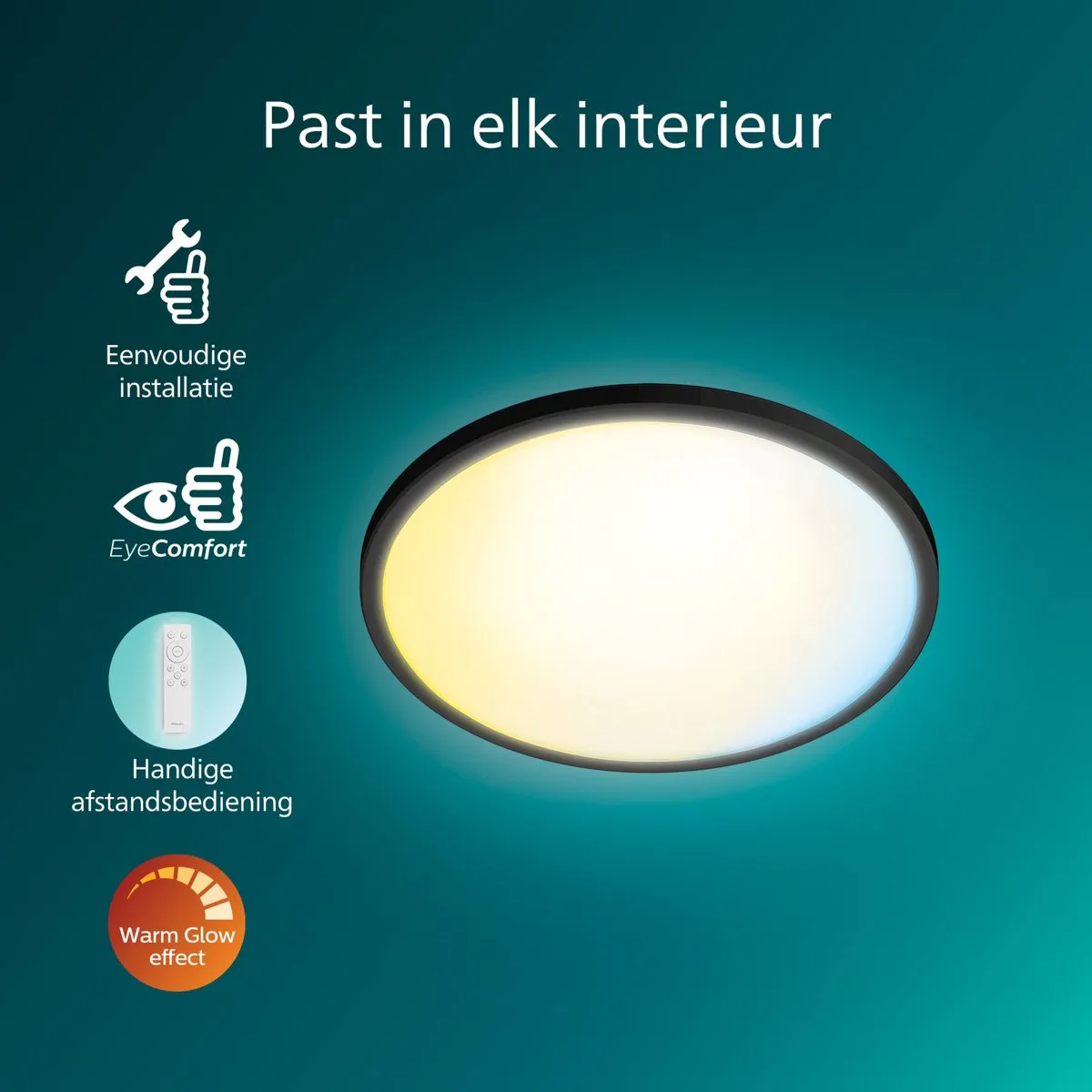 Philips Valen Plafondlamp 22W - Zwart