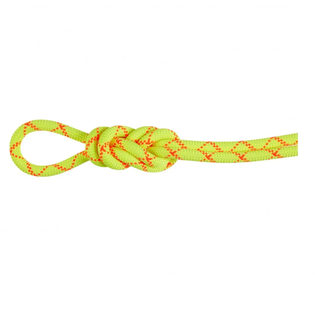 Mammut 9.5 Alpine Core Protect Dry Rope met araminde mantel 50 meter