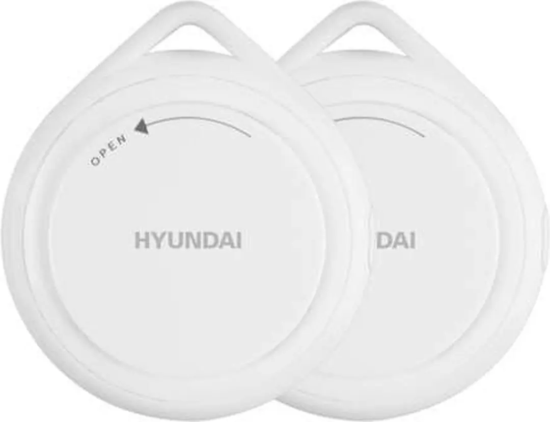 Hyundai Electronics