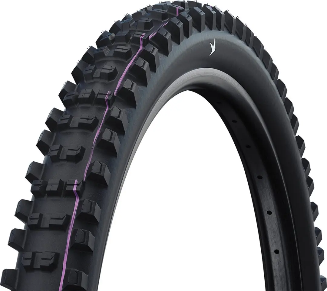 Shredda Rear