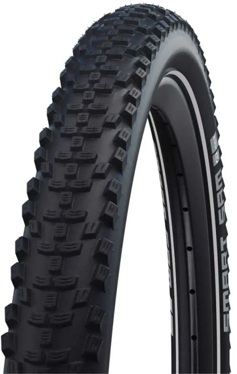 Schwalbe Smart Samoa Plus DD Greenguard Addix MTB-band 28x1.60 - Zilver