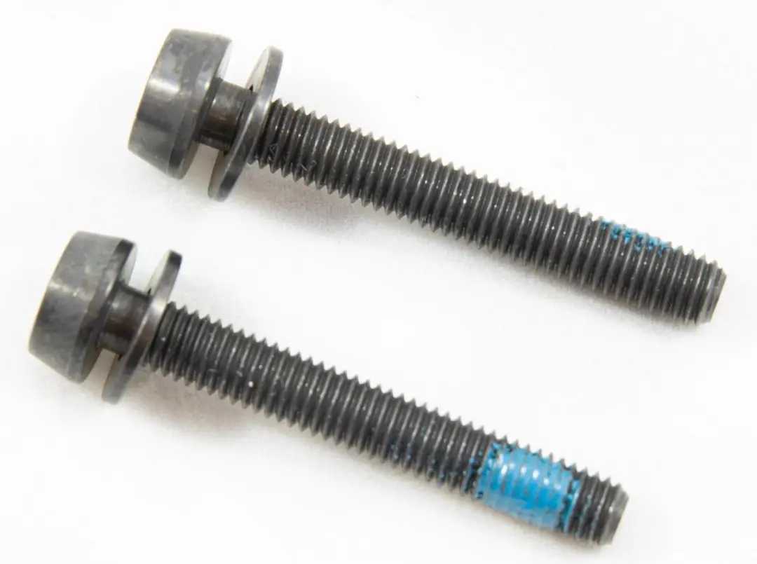 Campagnolo Bouten Voor Schijfremklauw Achter 39 Mm 2 Stuks
