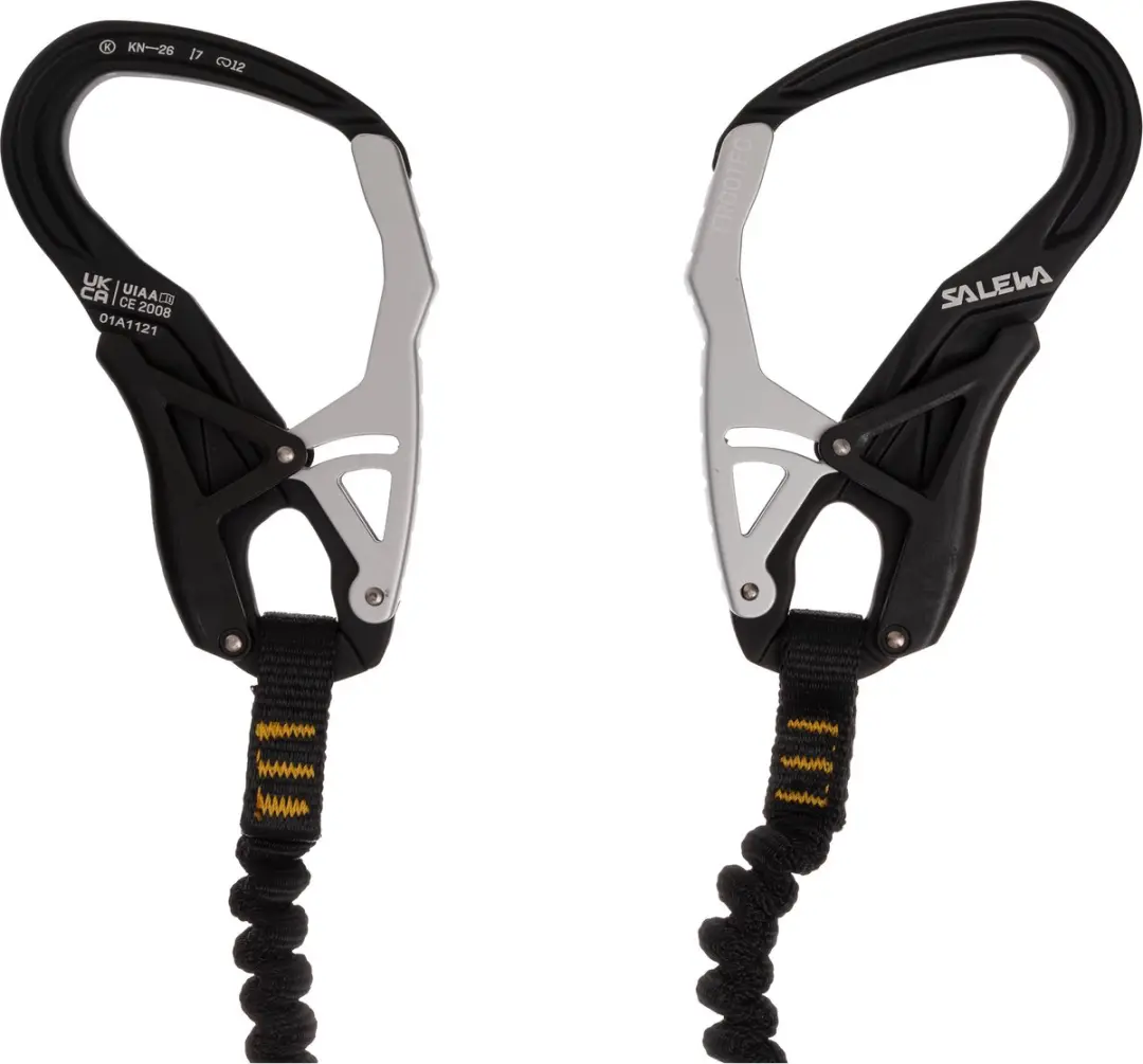 Salewa Ergo Core