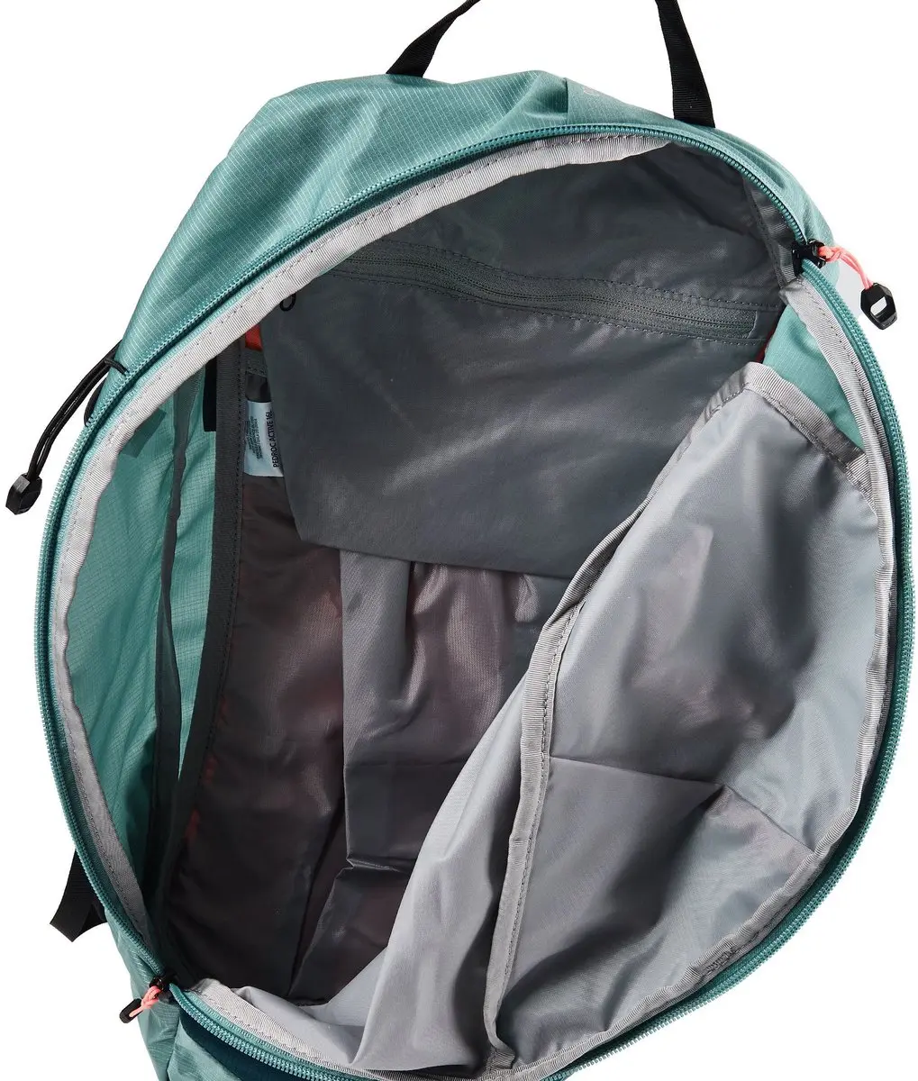 Salewa Pedroc Active 16L Rugzak - Willow
