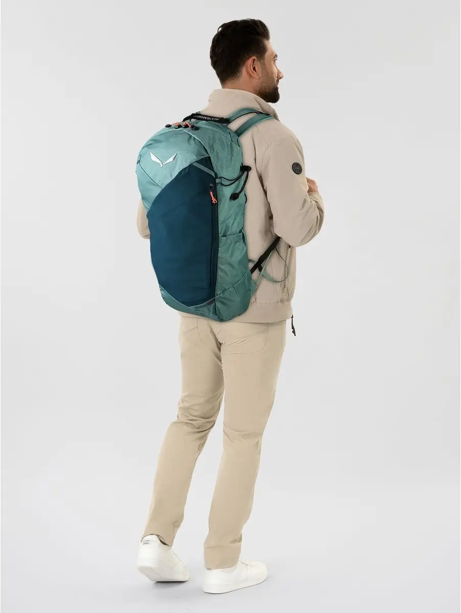 Salewa Pedroc Active 16L Rugzak - Willow