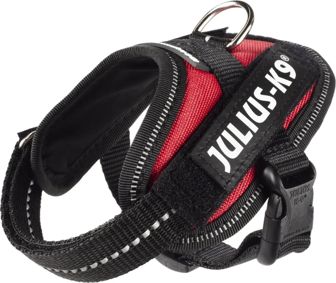 Julius K9 IDC Powertuig 3XS Baby1