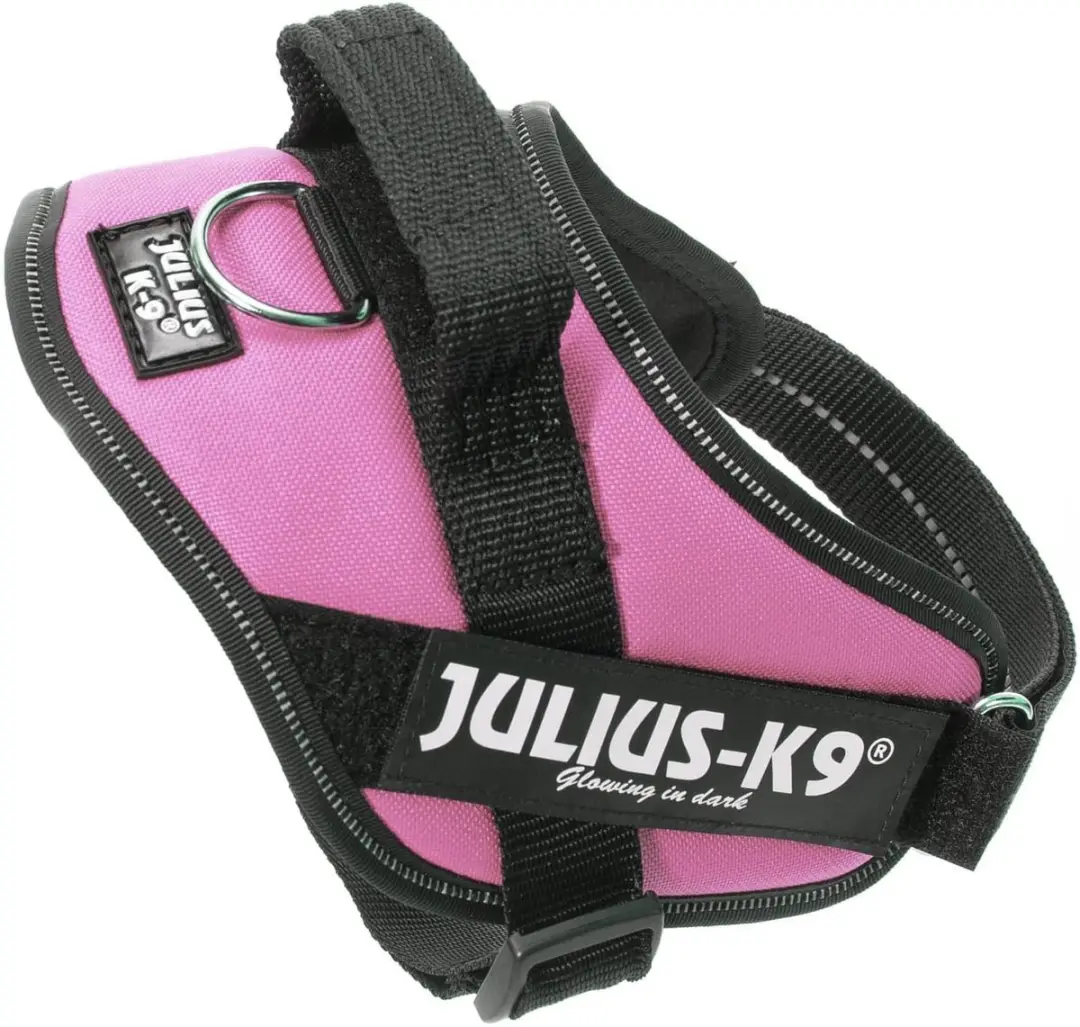 Julius K9 IDC PowerTuig Mini Roze