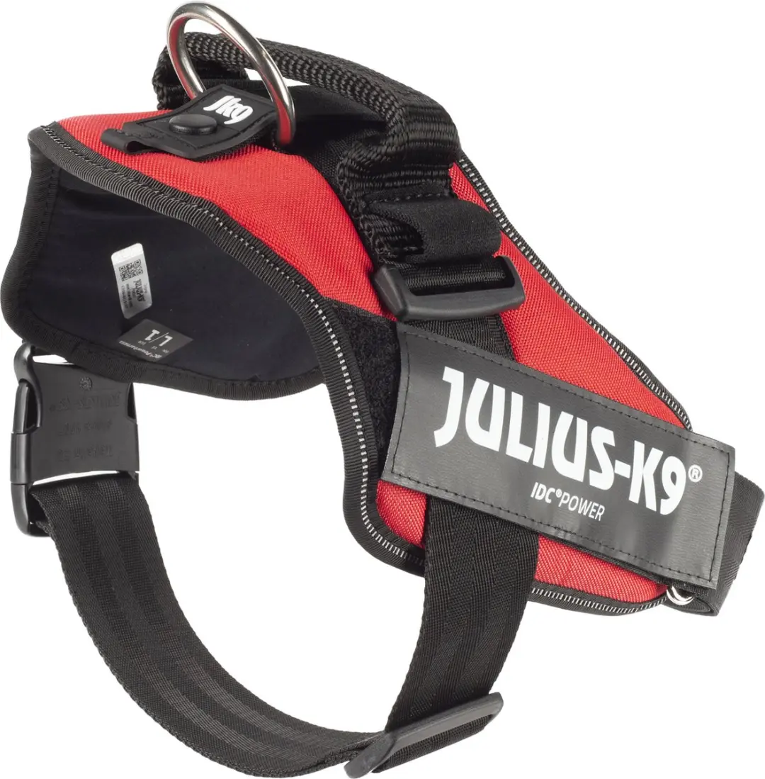 Julius K9 IDC Powertuig L - Rood