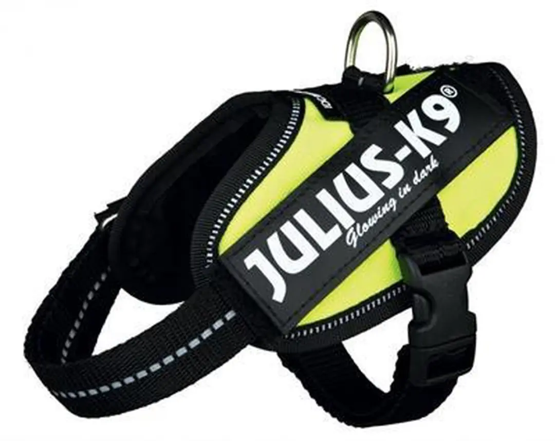 Julius K9 IDC Powertuig 2XL - Neon