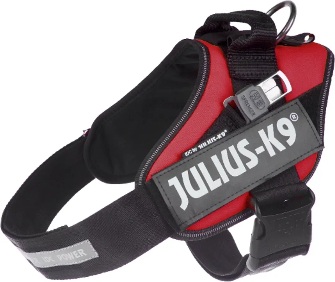 Julius K9 Blindengeleidehond Tuig L
