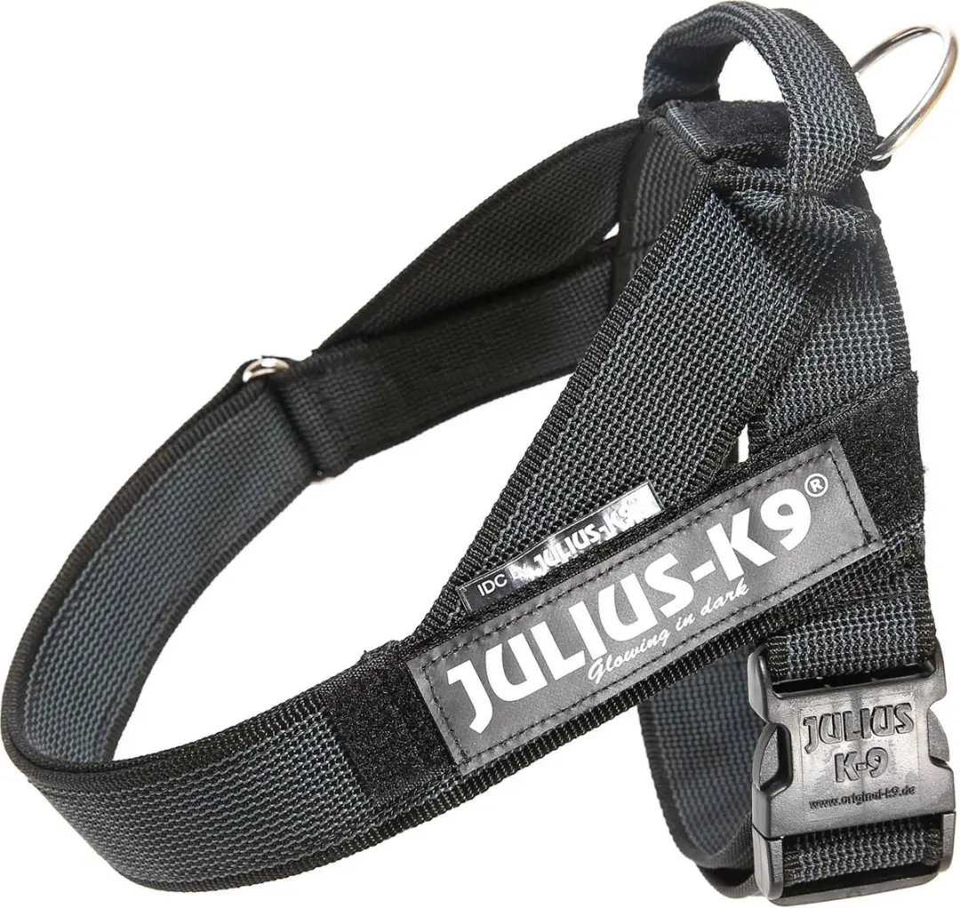 Julius-K9 IDC®Color&Gray® riemtuig, L