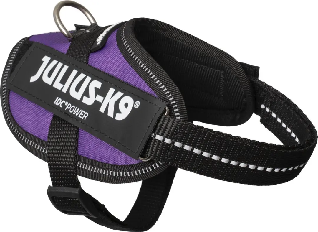 Julius K9 IDC Powertuig XXS - 33-45cm 2-5kg - Donkerpaars