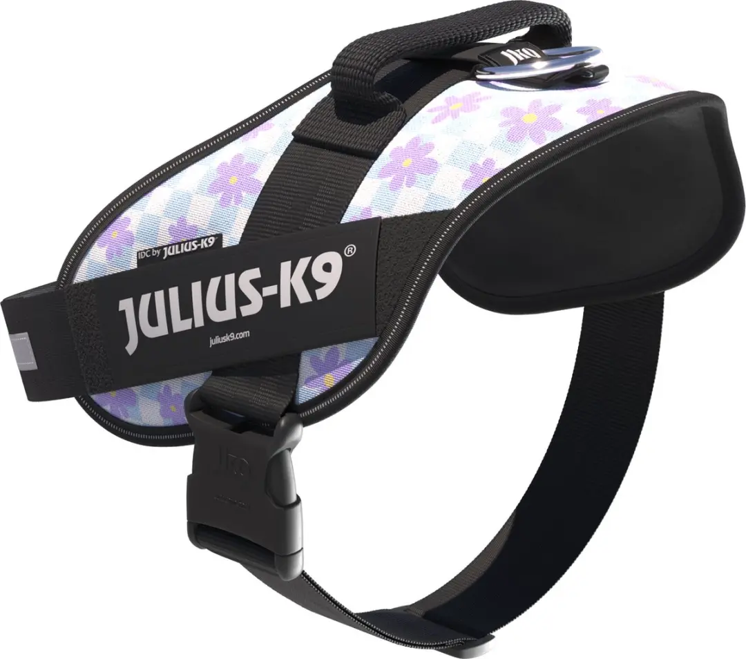 Julius K9 IDC Powertuig XL Cartoon - Maat 2