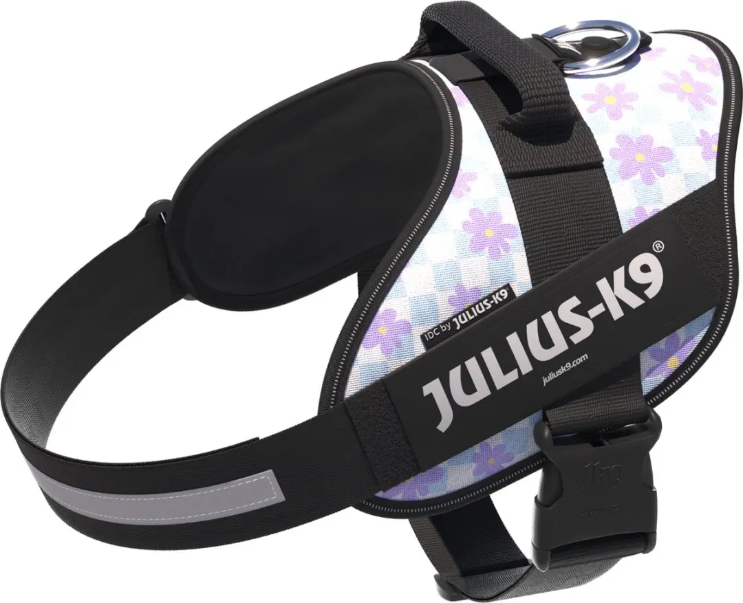 Julius K9 IDC Powertuig XL Cartoon