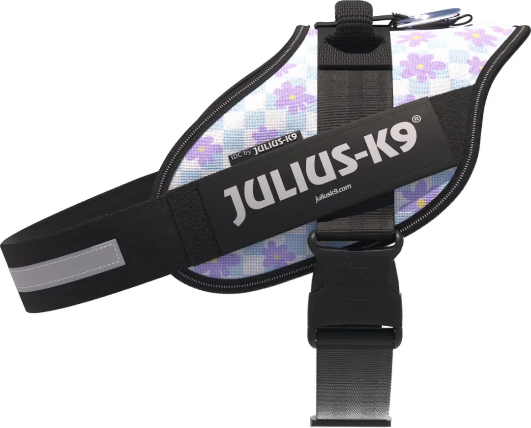 Julius K9 IDC Powertuig XL Cartoon - Maat 2