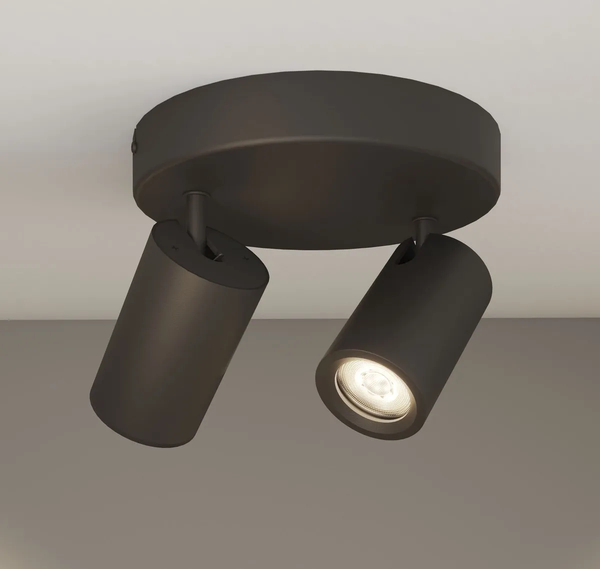 LEDVION LED Plafondspot 2-lichts 3W 4000K - Zwart