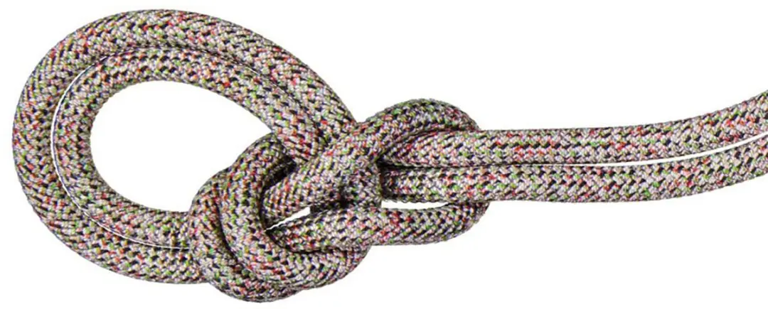 Mammut Crag We Care Classic 9.5 Mm Touw Beige 60 m