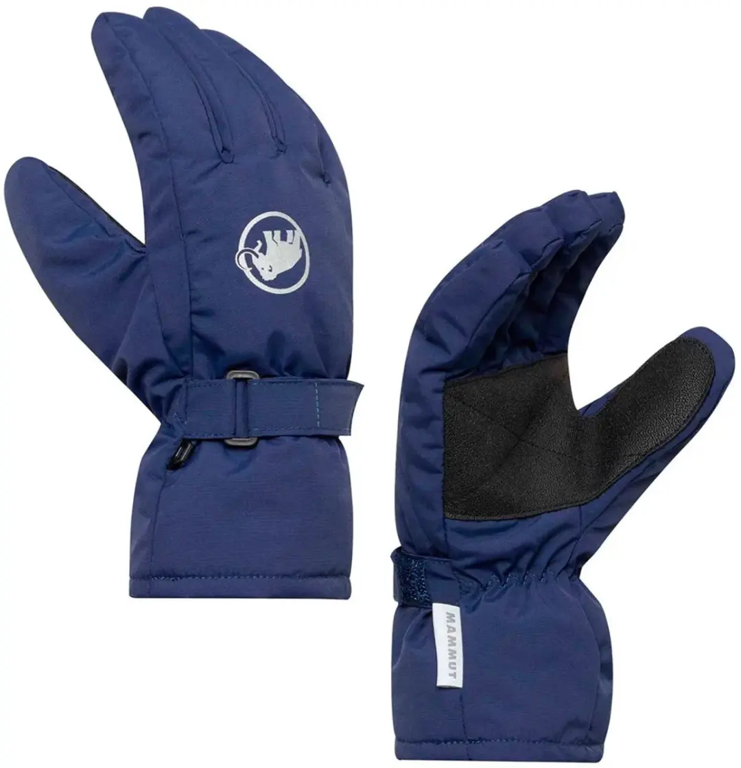 Mammut Fall Line Handschoenen Blauw 10-12 Years Jongen