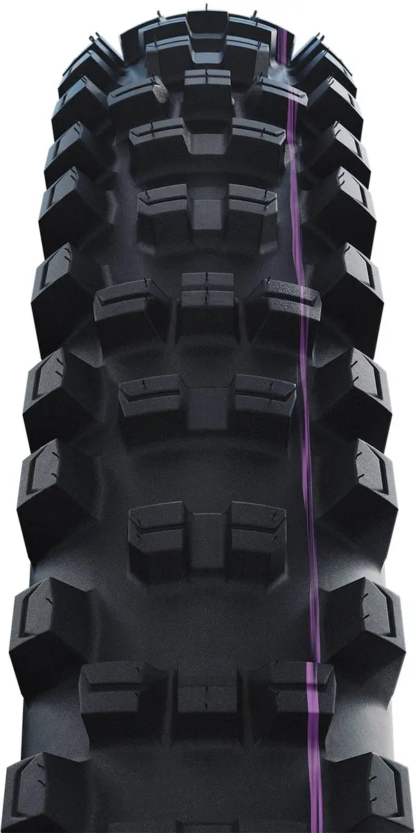 Shredda Rear