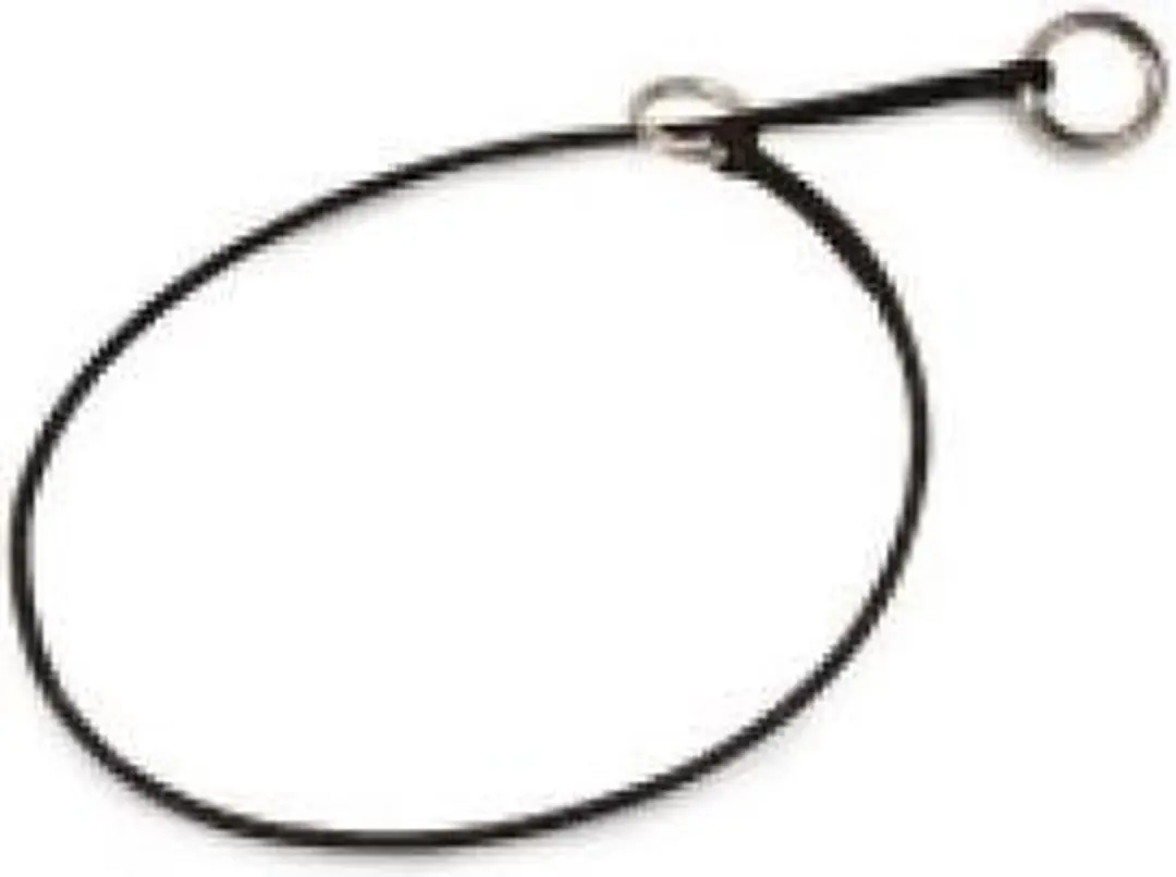 Julius K9 Training Halsband 75cm