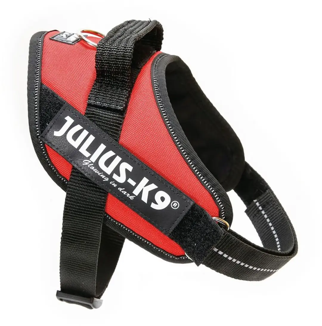Julius K9 IDC Powertuig XS - Rood