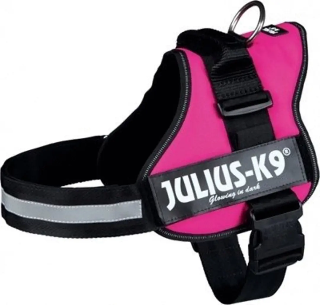 Julius K9 IDC Powertuig