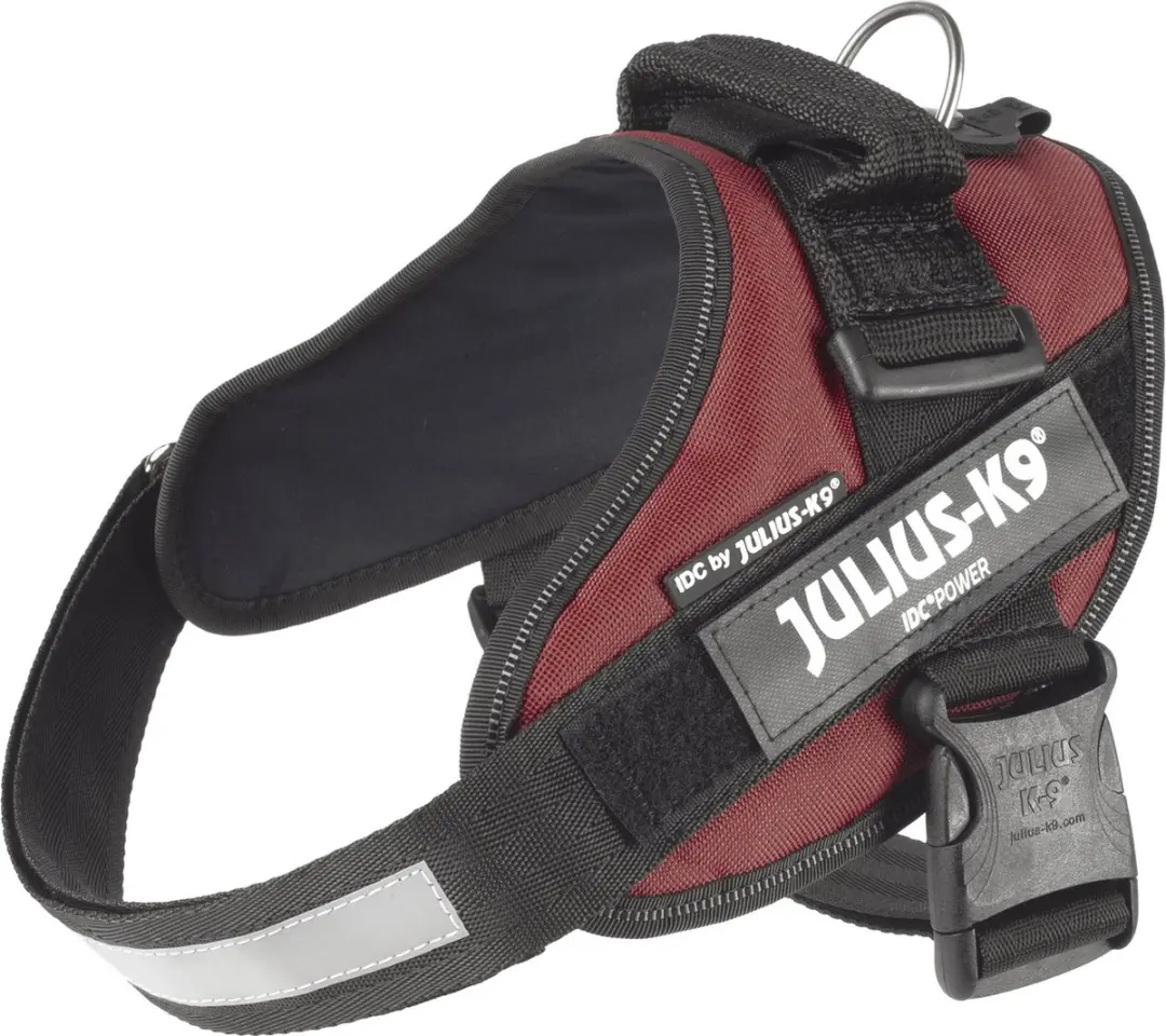 Julius K9 IDC Powertuig M