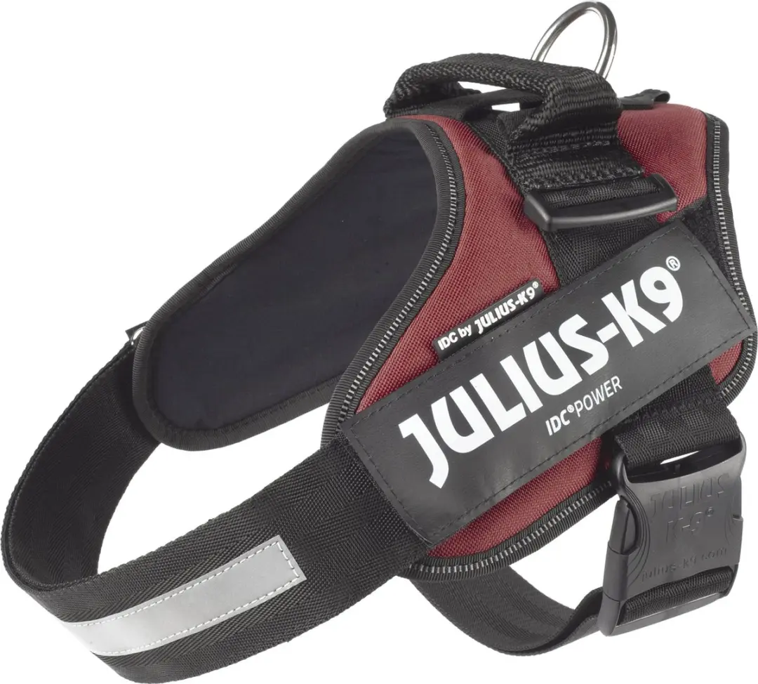 Julius-K9 IDC®Powertuig, L