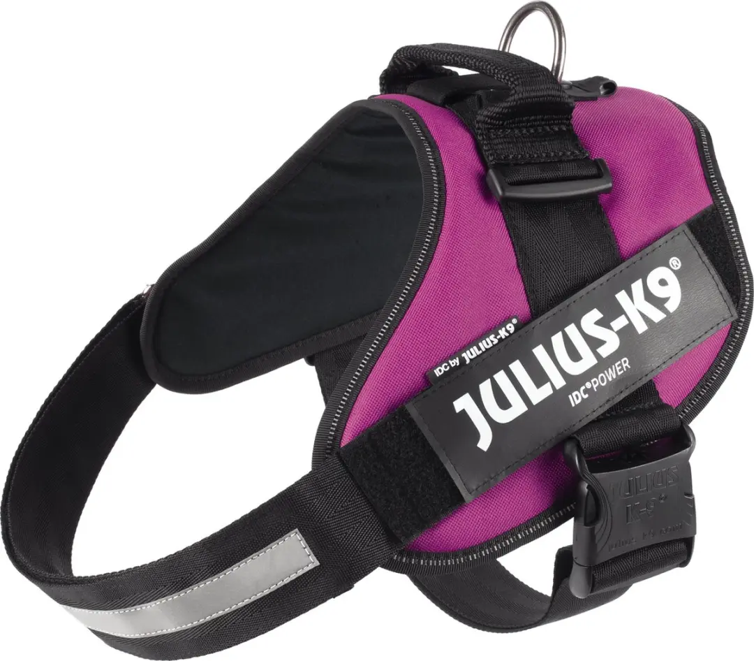 Julius K9 IDC Powertuig 2XL