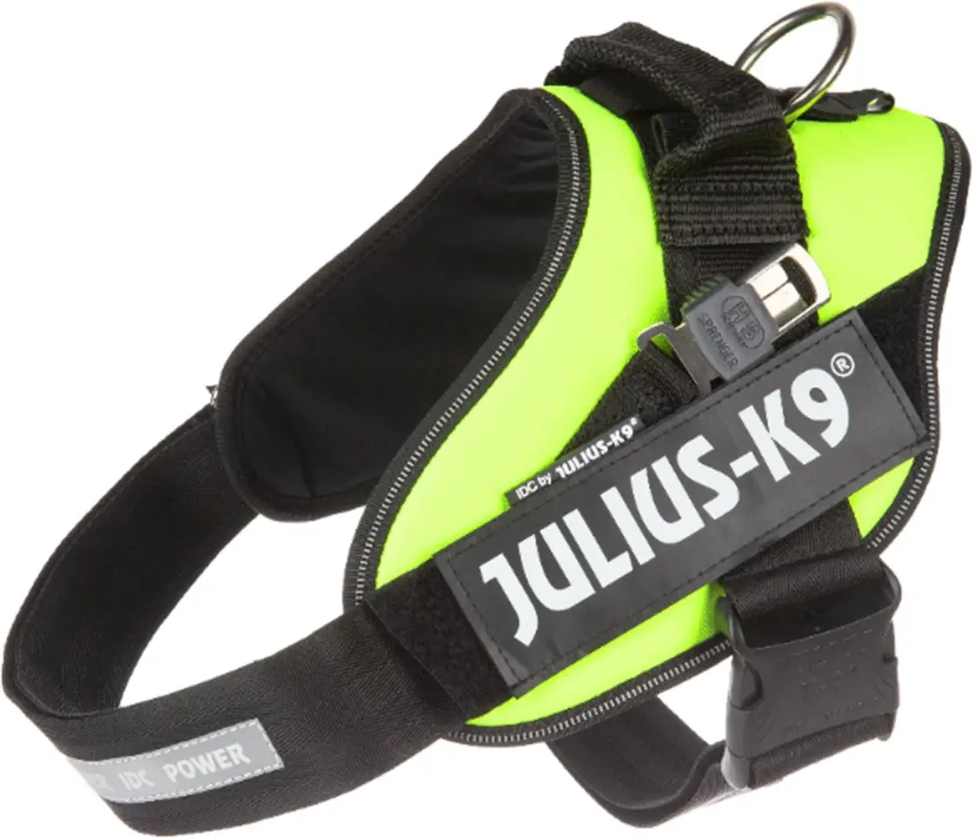Julius K9 Blindengeleidehond Tuig 2XL