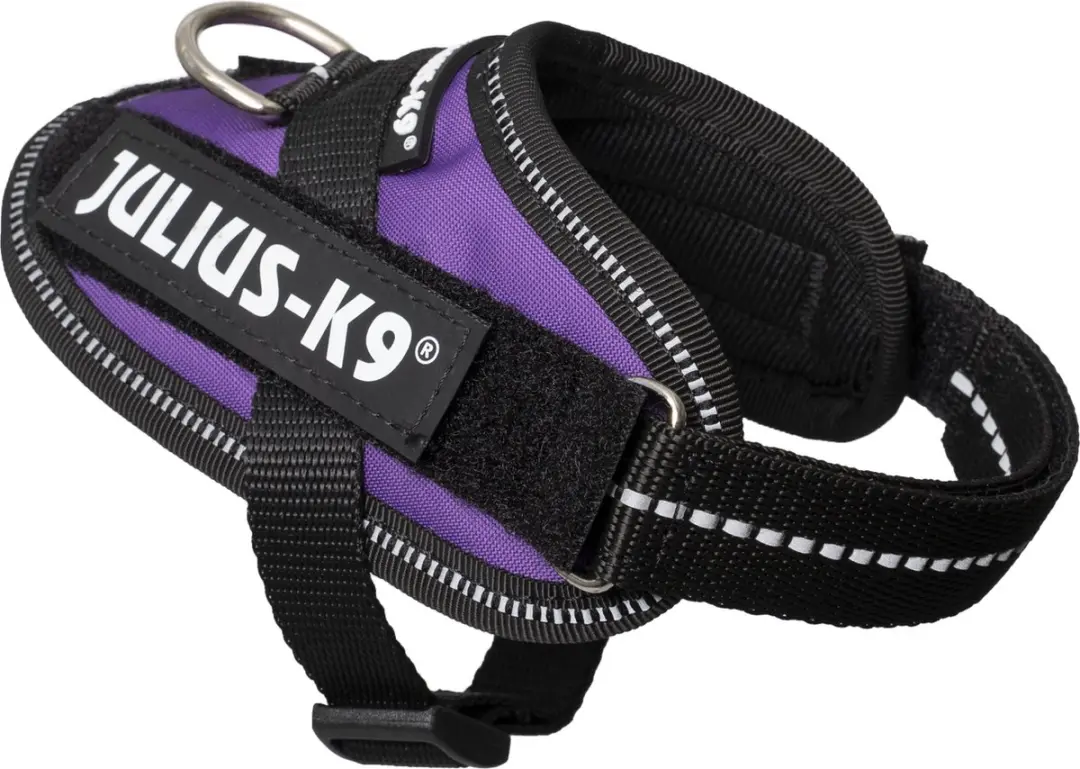 Julius K9 IDC Powertuig 3XS Dark Purple