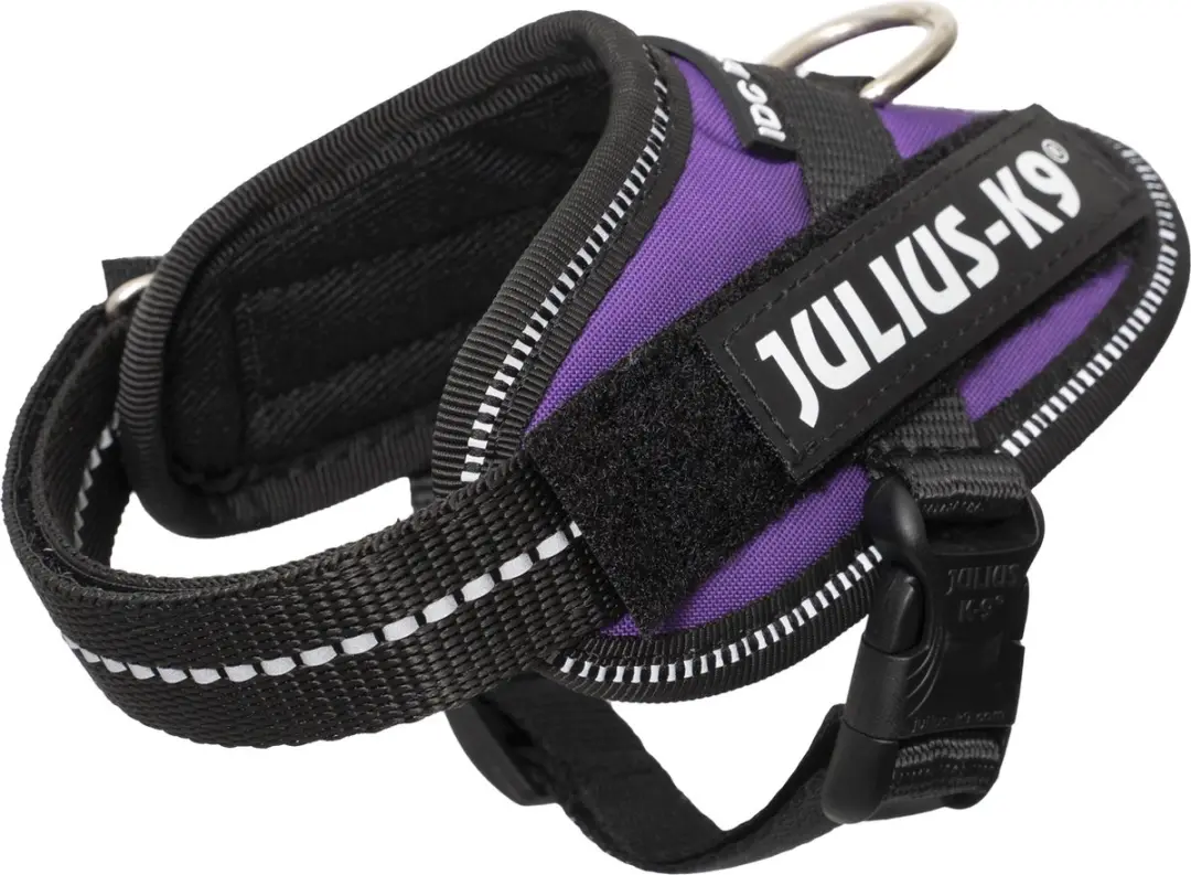 Julius K9 IDC Powertuig 3XS Dark Purple
