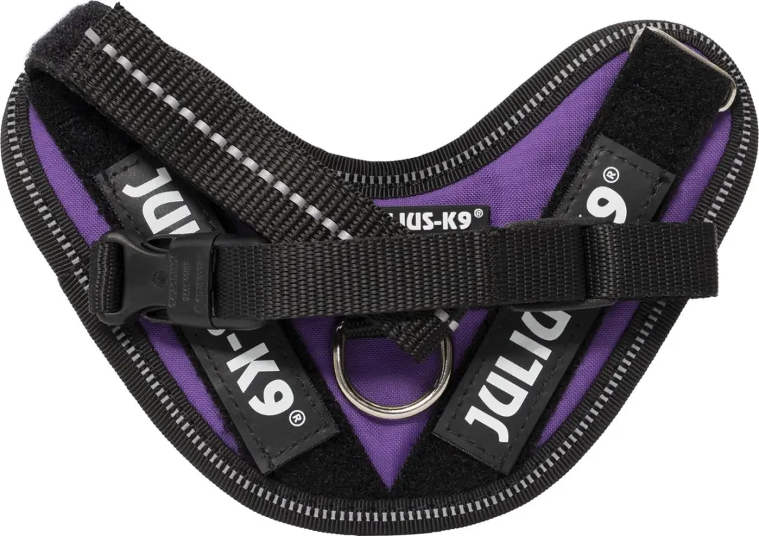 Julius K9 IDC Powertuig 3XS Dark Purple