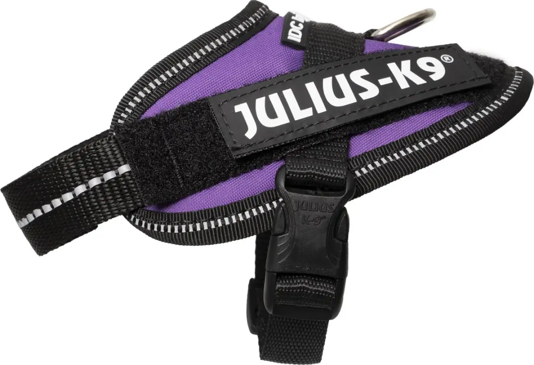 Julius K9 IDC Powertuig 3XS Dark Purple
