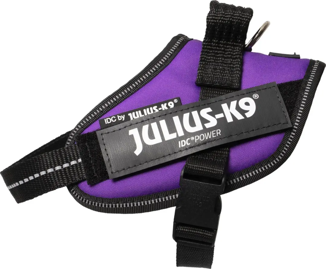 Julius K9 IDC Powertuig S - Dark Purple