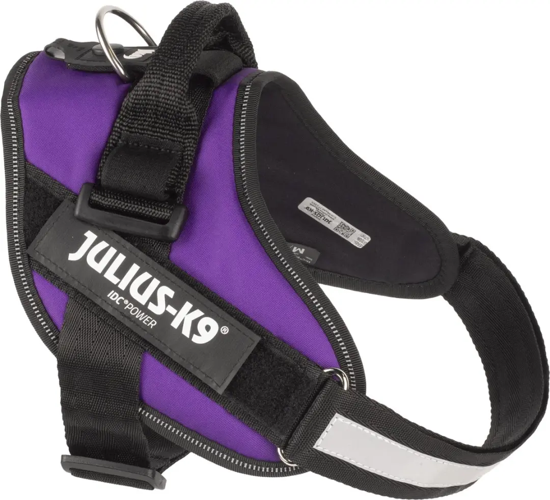 Julius K9 IDC Powertuig XL - Dark Purple