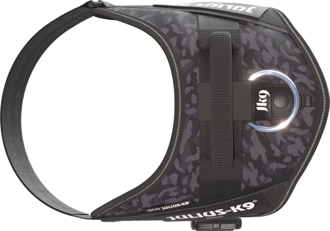 Julius K9 IDC Powertuig Night Camo - M