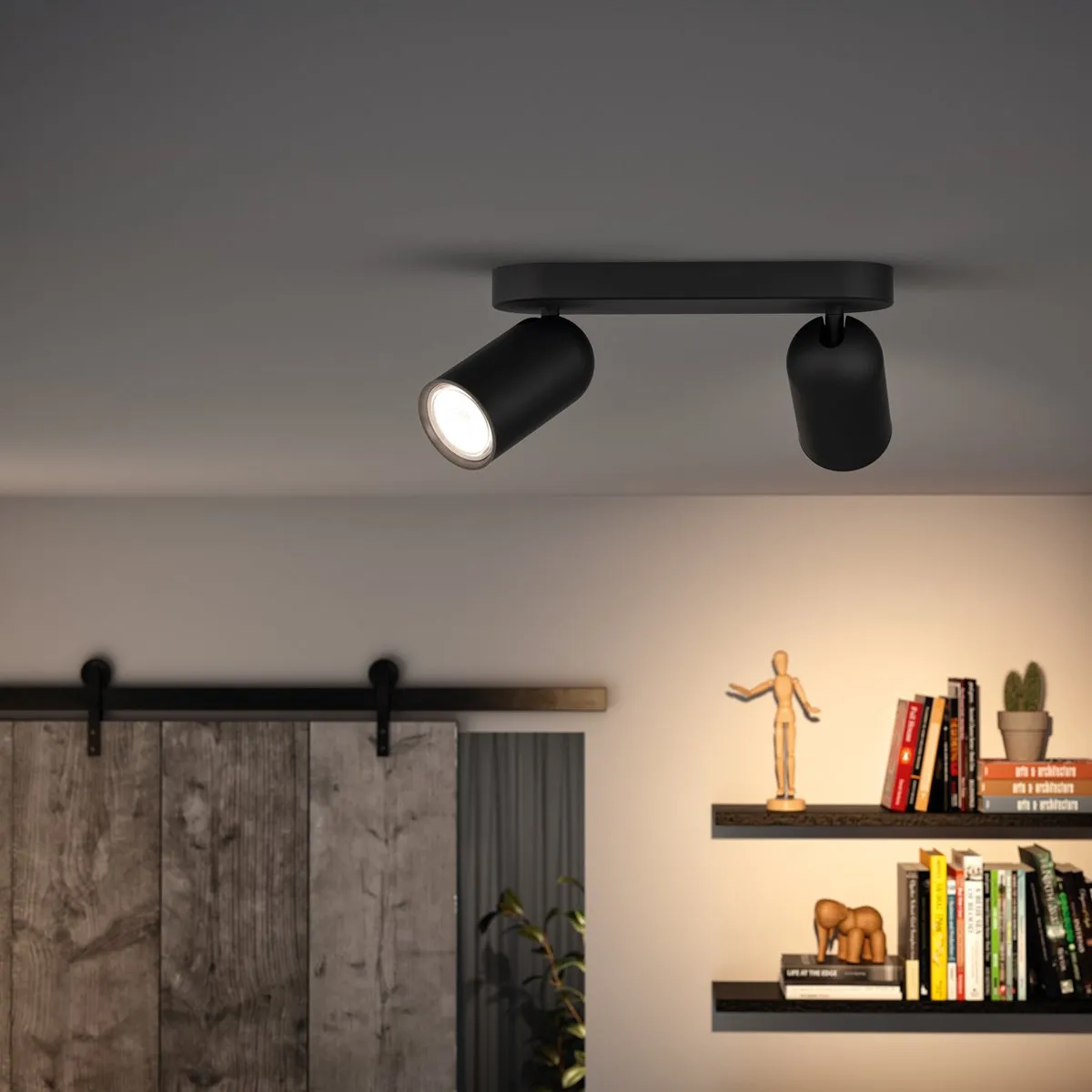 Philips Pongee Opbouwspot 2-lichts - Zwart
