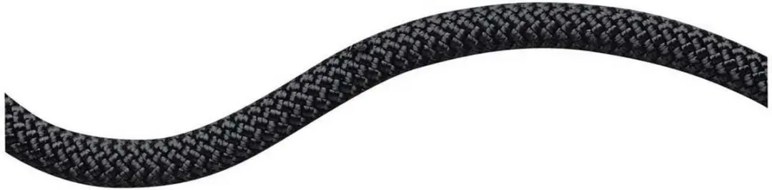 Mammut 10.0 Performance Static Touw Zwart 200 m