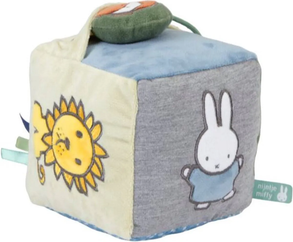 Nijntje Baby Kubus Labels Blauw 13x13cm