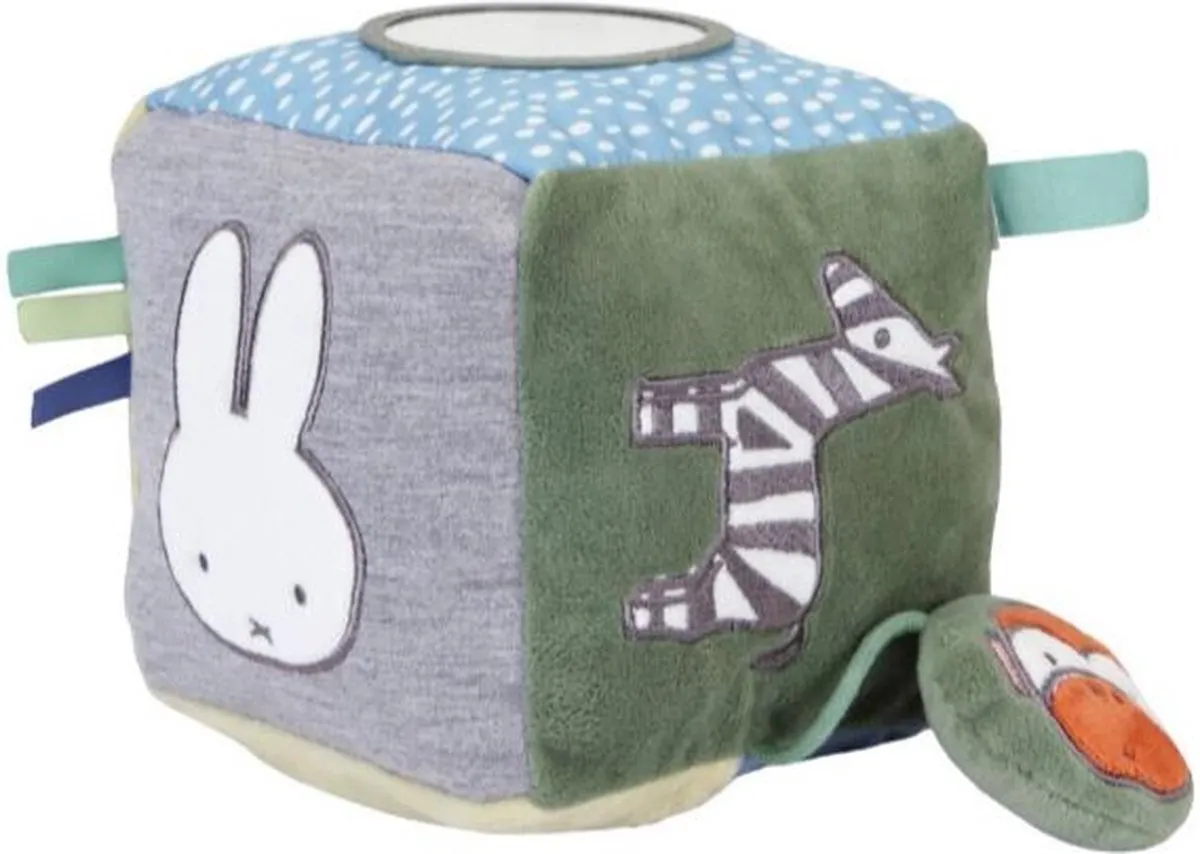 Nijntje Baby Kubus Labels Blauw 13x13cm