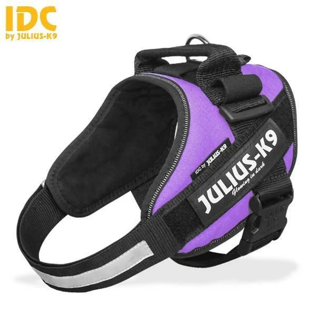Julius K9 IDC Powertuig Paars XXXL