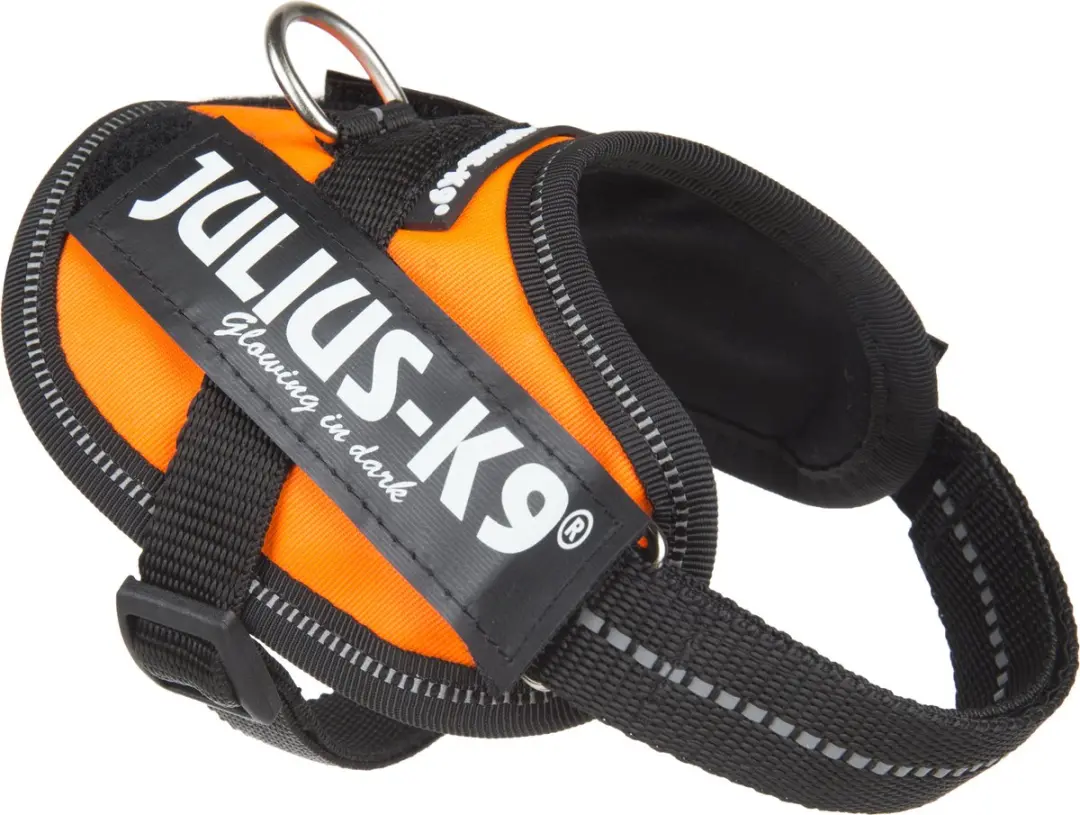 Julius K9 IDC Powertuig Harnas - Mini S - Oranje