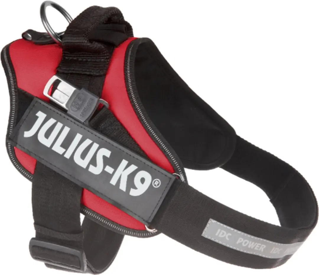 Julius K9 Blindengeleidehond Tuig Maat 2 - Rood