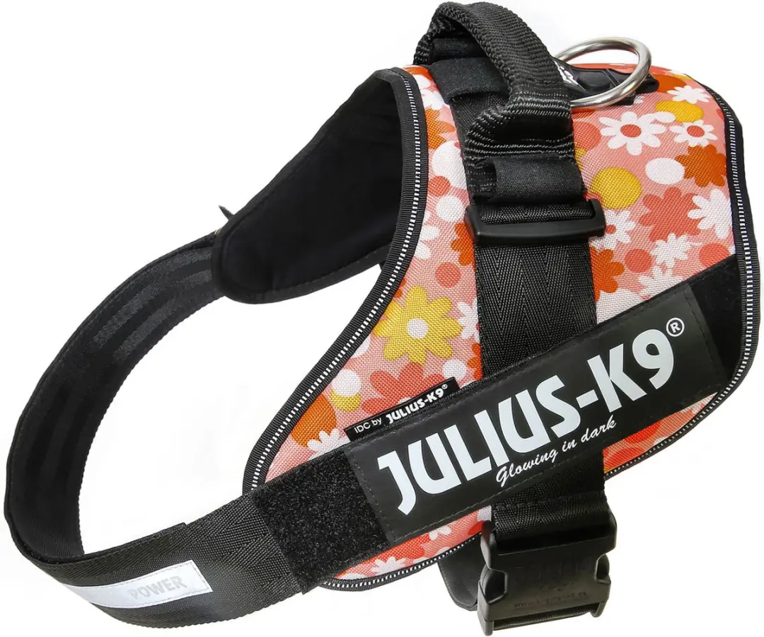 Julius K9 IDC Powertuig 2XL